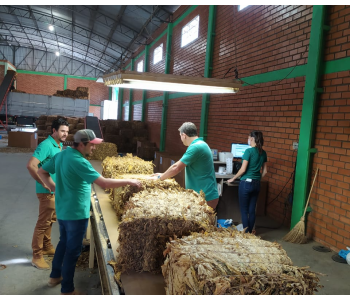 Equipe Especializada